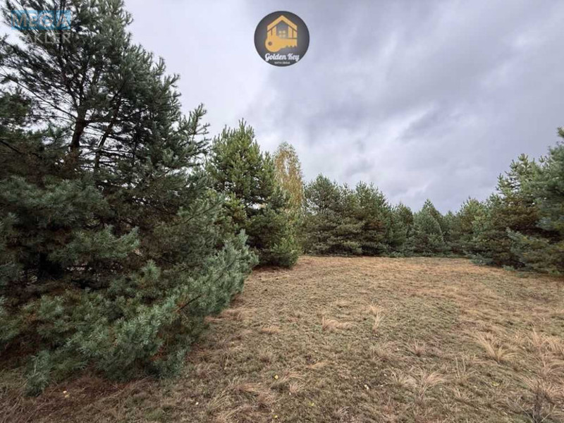 Продажа участка, 20&nbsp;соток, участок под жилую застройку, <a class="location-link" href="/abramovka/" title="Недвижимость Абрамівка">Абрамівка</a>, Центральна (изображение 4)