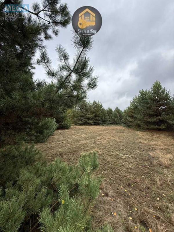 Продажа участка, 20&nbsp;соток, участок под жилую застройку, <a class="location-link" href="/abramovka/" title="Недвижимость Абрамівка">Абрамівка</a>, Центральна (изображение 6)