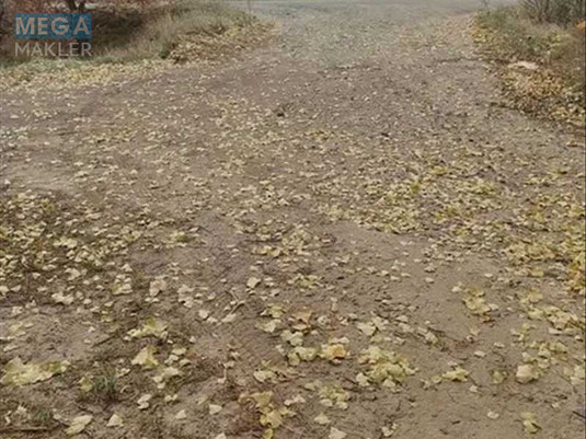 Продажа участка, 480,01&nbsp;соток, земля сельскохозяйственного назначения, <a class="location-link" href="/nalivajkovka/" title="Недвижимость Наливайківка">Наливайківка</a>, нова (изображение 2)