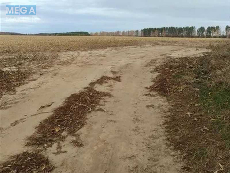 Продажа участка, 480,01&nbsp;соток, земля сельскохозяйственного назначения, <a class="location-link" href="/nalivajkovka/" title="Недвижимость Наливайківка">Наливайківка</a>, нова (изображение 3)