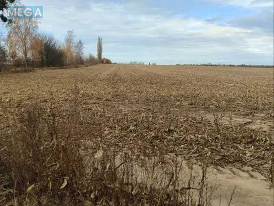 Продажа участка, 480,01&nbsp;соток, земля сельскохозяйственного назначения, <a class="location-link" href="/nalivajkovka/" title="Недвижимость Наливайківка">Наливайківка</a>, нова (изображение 4)