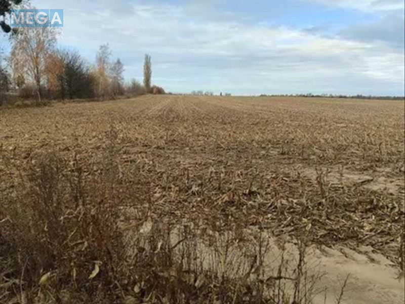 Продажа участка, 480,01&nbsp;соток, земля сельскохозяйственного назначения, <a class="location-link" href="/nalivajkovka/" title="Недвижимость Наливайківка">Наливайківка</a>, нова (изображение 4)