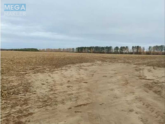 Продажа участка, 480,01&nbsp;соток, земля сельскохозяйственного назначения, <a class="location-link" href="/nalivajkovka/" title="Недвижимость Наливайківка">Наливайківка</a>, нова (изображение 6)