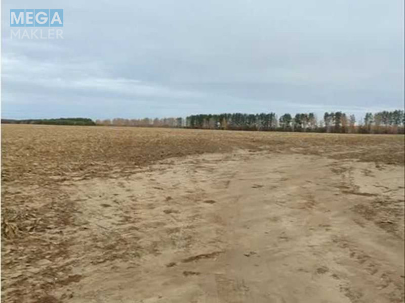 Продажа участка, 480,01&nbsp;соток, земля сельскохозяйственного назначения, <a class="location-link" href="/nalivajkovka/" title="Недвижимость Наливайківка">Наливайківка</a>, нова (изображение 6)