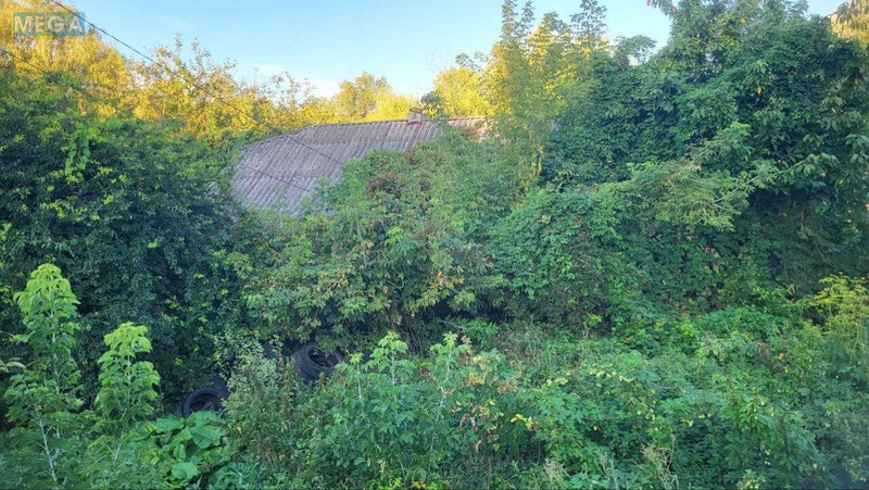 Продаж дома, 1&nbsp; поверх, 44&nbsp;кв.м, 2&nbsp;кімнати, ділянка 8&nbsp;соток, <a class="location-link" href="/kulikovka-selo/" title="Недвижимость Куликівка">Куликівка</a>, Захисників України (Пушкіна), 2 (изображение 19)