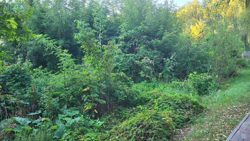 Продаж дома, 1&nbsp; поверх, 44&nbsp;кв.м, 2&nbsp;кімнати, ділянка 8&nbsp;соток, <a class="location-link" href="/kulikovka-selo/" title="Недвижимость Куликівка">Куликівка</a>, Захисників України (Пушкіна), 2 (изображение 20)