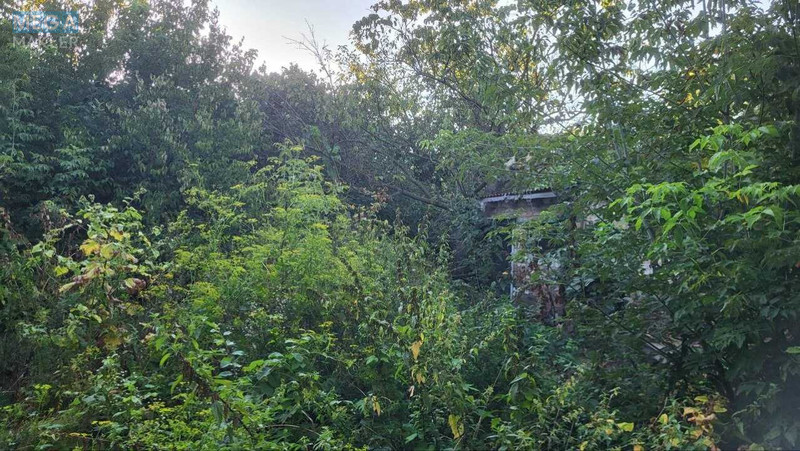 Продаж дома, 1&nbsp; поверх, 44&nbsp;кв.м, 2&nbsp;кімнати, ділянка 8&nbsp;соток, <a class="location-link" href="/kulikovka-selo/" title="Недвижимость Куликівка">Куликівка</a>, Захисників України (Пушкіна), 2 (изображение 22)