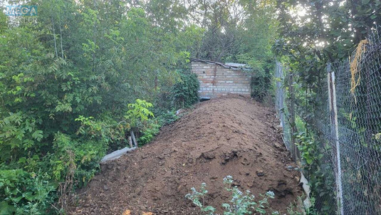 Продаж дома, 1&nbsp; поверх, 44&nbsp;кв.м, 2&nbsp;кімнати, ділянка 8&nbsp;соток, <a class="location-link" href="/kulikovka-selo/" title="Недвижимость Куликівка">Куликівка</a>, Захисників України (Пушкіна), 2 (изображение 23)