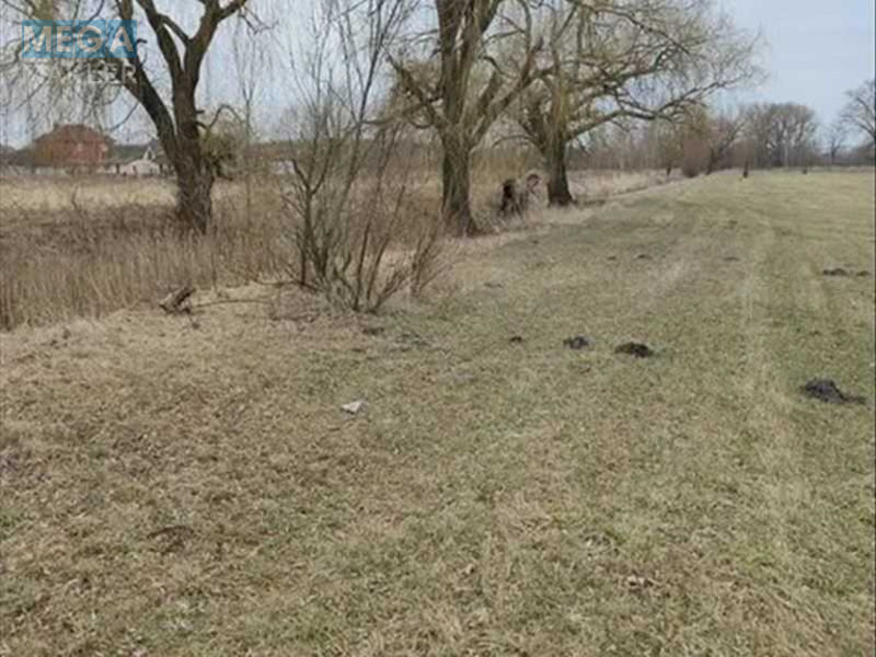 Продажа участка, 200&nbsp;соток, земля сельскохозяйственного назначения, <a class="location-link" href="/sezenkov/" title="Недвижимость Сезенків">Сезенків</a>, нова (изображение 3)