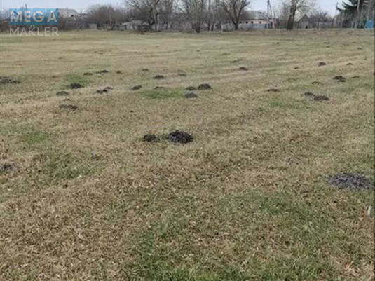 Продажа участка, 200&nbsp;соток, земля сельскохозяйственного назначения, <a class="location-link" href="/sezenkov/" title="Недвижимость Сезенків">Сезенків</a>, нова (изображение 4)