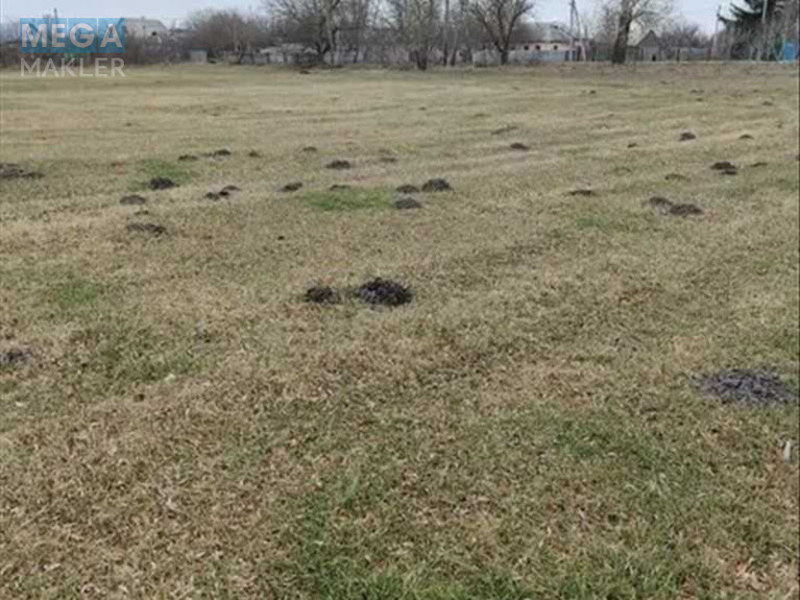 Продажа участка, 200&nbsp;соток, земля сельскохозяйственного назначения, <a class="location-link" href="/sezenkov/" title="Недвижимость Сезенків">Сезенків</a>, нова (изображение 4)