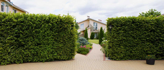 Продаж дома, 2&nbsp;поверху, 500&nbsp;кв.м, 5&nbsp;кімнат, ділянка 50&nbsp;соток, <a class="location-link" href="/kozin/" title="Недвижимость Козин">Козин</a>, Соловяненка (изображение 5)