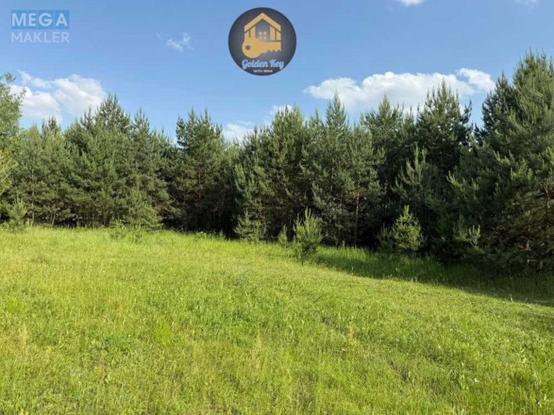 Продажа участка, 284&nbsp;сотки, земля сельскохозяйственного назначения, <a class="location-link" href="/gnedin/" title="Недвижимость Гнідін">Гнідин</a>, автошлях 1016 (изображение 3)