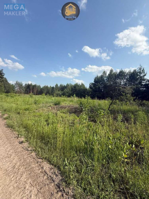 Продажа участка, 284&nbsp;сотки, земля сельскохозяйственного назначения, <a class="location-link" href="/gnedin/" title="Недвижимость Гнідін">Гнідин</a>, автошлях 1016 (изображение 5)