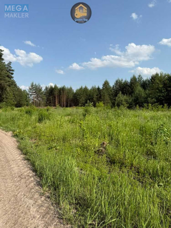 Продажа участка, 284&nbsp;сотки, земля сельскохозяйственного назначения, <a class="location-link" href="/gnedin/" title="Недвижимость Гнідін">Гнідин</a>, автошлях 1016 (изображение 7)