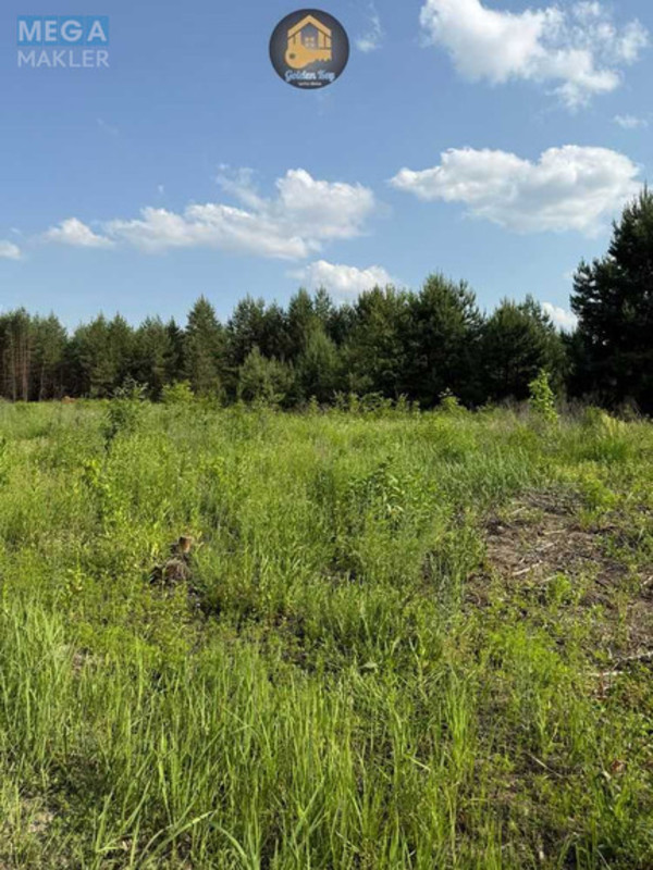 Продажа участка, 284&nbsp;сотки, земля сельскохозяйственного назначения, <a class="location-link" href="/gnedin/" title="Недвижимость Гнідін">Гнідин</a>, автошлях 1016 (изображение 8)