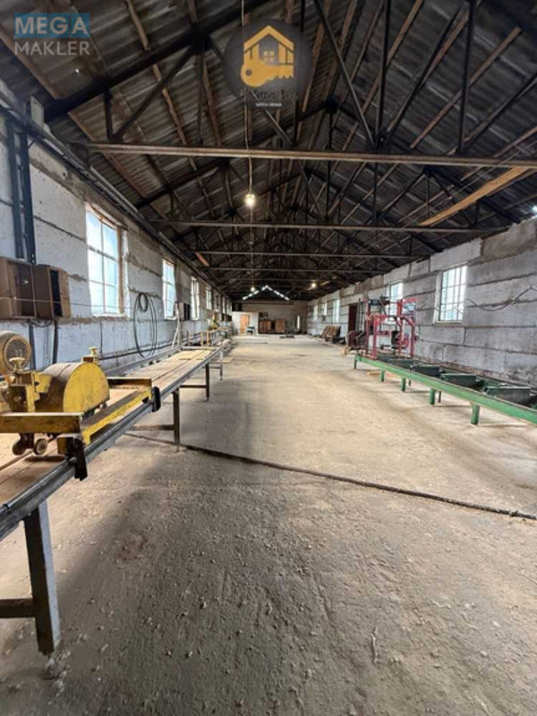 Продаж окремої будівлі/побудови, 420&nbsp;кв.м, <a class="location-link" href="/rovy/" title="Недвижимость Рови">Рови</a>, Деіпровська (изображение 6)