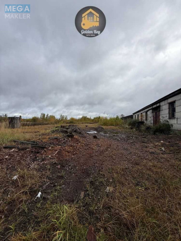 Продаж окремої будівлі/побудови, 420&nbsp;кв.м, <a class="location-link" href="/rovy/" title="Недвижимость Рови">Рови</a>, Деіпровська (изображение 11)