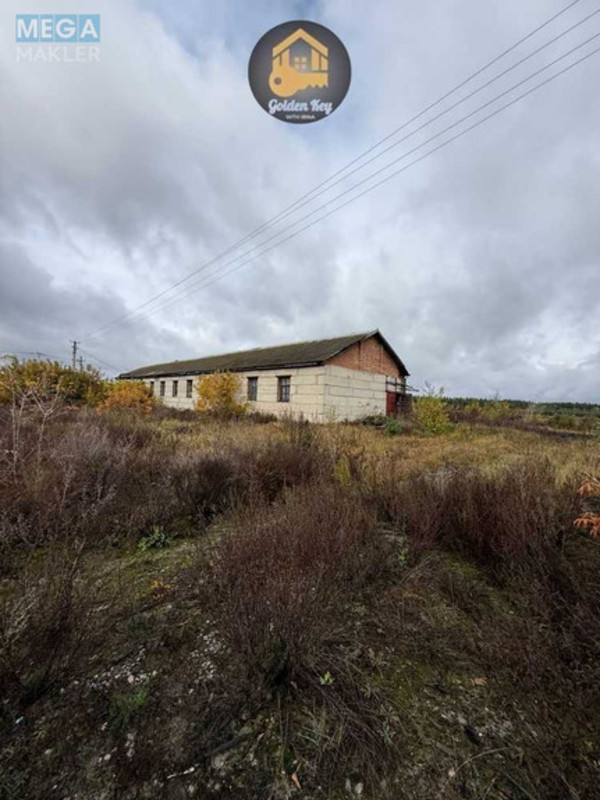 Продаж окремої будівлі/побудови, 420&nbsp;кв.м, <a class="location-link" href="/rovy/" title="Недвижимость Рови">Рови</a>, Деіпровська (изображение 19)