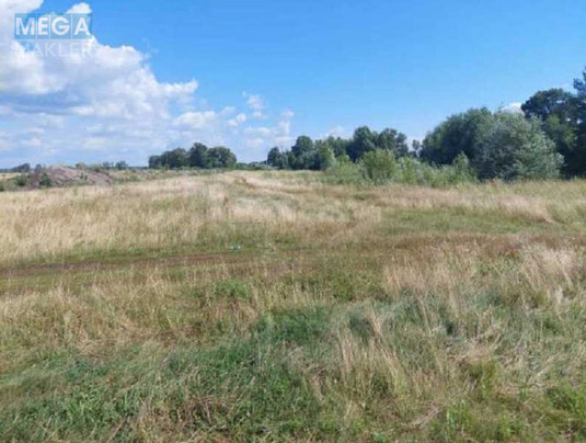 Продажа участка, 6&nbsp;232&nbsp;сотки, земля сельскохозяйственного назначения, <a class="location-link" href="/zazimya/" title="Недвижимость Зазим'я">Зазим`я</a>, Зазімська с/р (изображение 4)