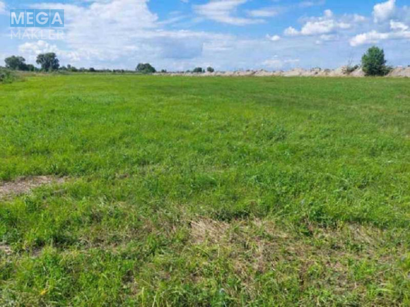 Продажа участка, 6&nbsp;232&nbsp;сотки, земля сельскохозяйственного назначения, <a class="location-link" href="/zazimya/" title="Недвижимость Зазим'я">Зазим`я</a>, Зазімська с/р (изображение 6)