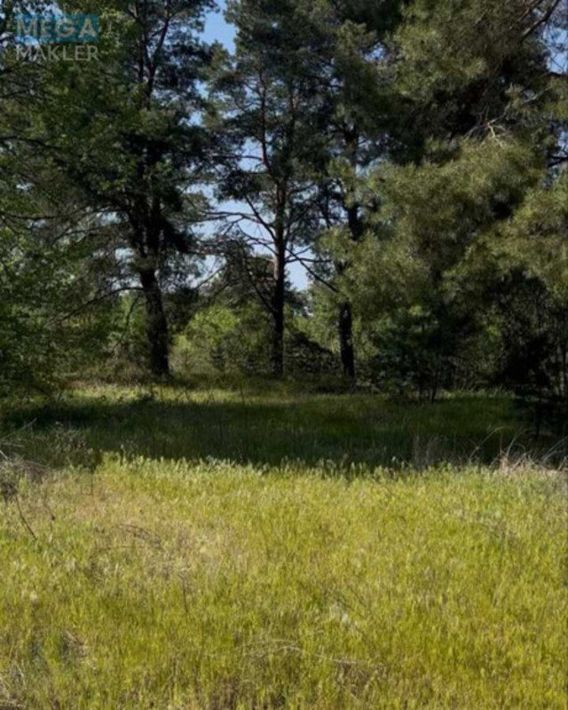 Продажа участка, 19,27&nbsp;соток, земля рекреационного назначения, <a class="location-link" href="/novoselki-selo-kv/" title="Недвижимость Новосілки">Новосілки</a>, ст Сонячне (изображение 7)