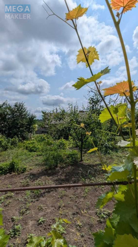 Продаж дома, 1&nbsp; поверх, 80&nbsp;кв.м, 3&nbsp;кімнати, ділянка 7&nbsp;соток, <a class="location-link" href="/kirovograd/" title="Недвижимость Кіровоград">Кіровоград</a>, І. Франка (изображение 12)