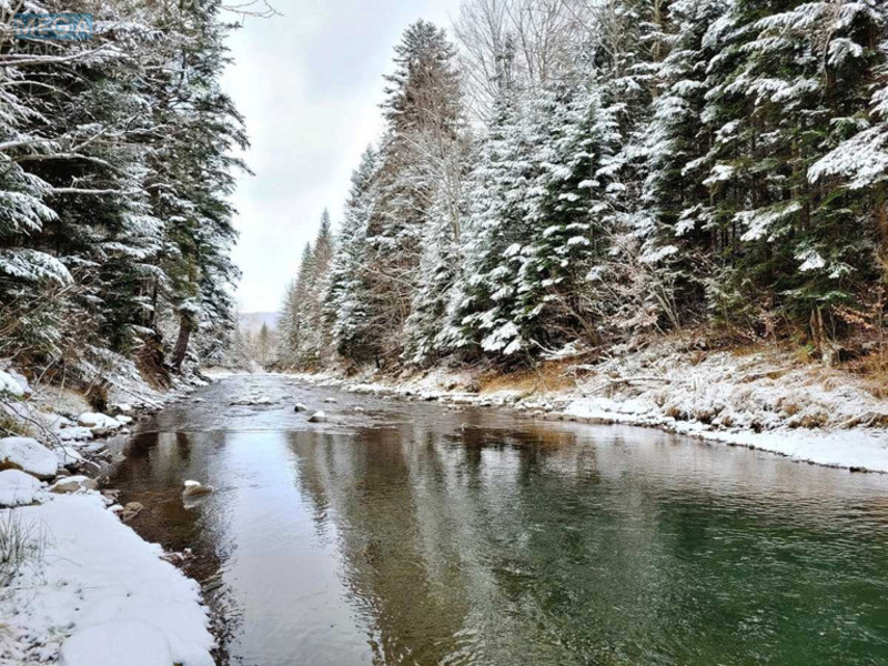 Продаж дома, 2&nbsp;поверху, 2&nbsp;200&nbsp;кв.м, 40&nbsp;кімнат, ділянка 330&nbsp;соток, <a class="location-link" href="/staraya-guta-selo-if/" title="Недвижимость Стара Гута">Стара Гута</a>, Урочище Провал (изображение 20)