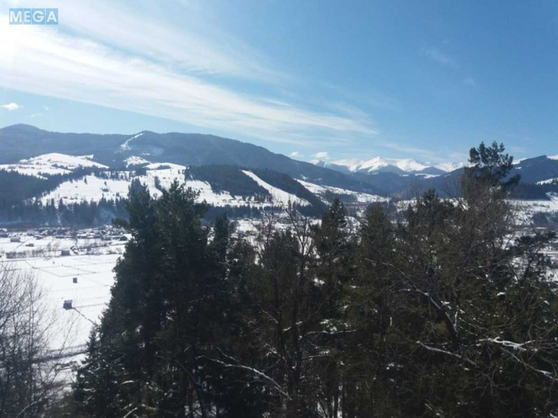 Продаж дома, 2&nbsp;поверху, 500&nbsp;кв.м, 13&nbsp;кімнат, ділянка 50&nbsp;соток, <a class="location-link" href="/verhovina/" title="Недвижимость Верховина">Верховина</a>, Невестюка (изображение 5)