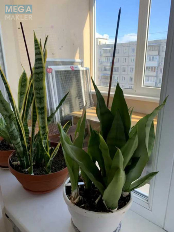 Оренда 2 кімнатної квартири, <a class="location-link" href="/kiev/" title="Недвижимость Київ">Київ</a>, <a class="location-link" href="/kiev/obolonskij/" title="Недвижимость Оболонський район">Оболонський р-н</a>, Маршала Малиновского ул., 13а (изображение 4)