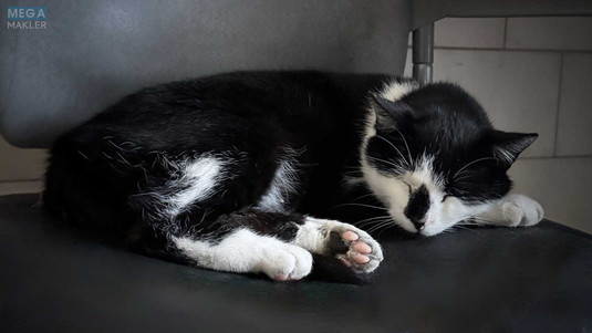 Продаж 1 кімнатної квартири (49/19/17), 23 пов. 25 пов. будинку, <a class="location-link" href="/kiev/" title="Недвижимость Київ">Київ</a>, <a class="location-link" href="/kiev/svyatoshinskij/" title="Недвижимость Святошинський район">Святошинський р-н</a>, Обухівська вул., 139 (изображение 16)