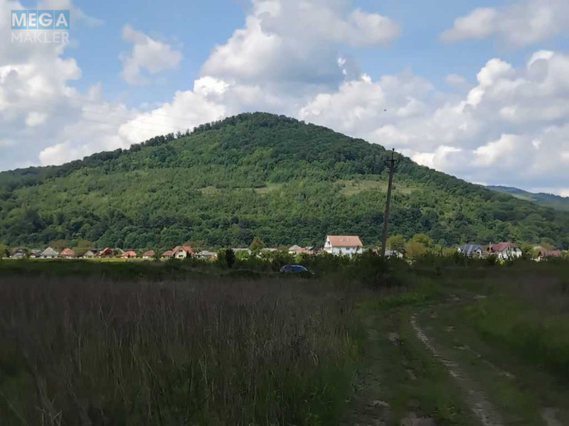 Продажа участка, 150&nbsp;соток, земля коммерческого назначения, <a class="location-link" href="/svalyava/" title="Недвижимость Свалява">Свалява</a>, Визволення (изображение 3)