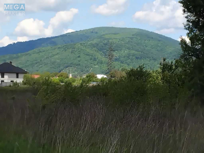 Продажа участка, 150&nbsp;соток, земля коммерческого назначения, <a class="location-link" href="/svalyava/" title="Недвижимость Свалява">Свалява</a>, Визволення (изображение 4)