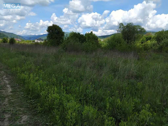 Продажа участка, 150&nbsp;соток, земля коммерческого назначения, <a class="location-link" href="/svalyava/" title="Недвижимость Свалява">Свалява</a>, Визволення (изображение 6)