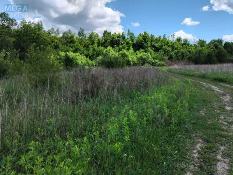 Продажа участка, 150&nbsp;соток, земля коммерческого назначения, <a class="location-link" href="/svalyava/" title="Недвижимость Свалява">Свалява</a>, Визволення (изображение 7)