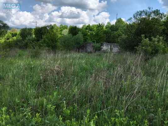 Продажа участка, 150&nbsp;соток, земля коммерческого назначения, <a class="location-link" href="/svalyava/" title="Недвижимость Свалява">Свалява</a>, Визволення (изображение 14)