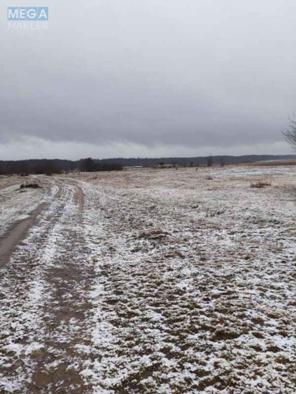 Продажа участка, 25&nbsp;соток, участок под жилую застройку, <a class="location-link" href="/kovel/" title="Недвижимость Ковель">Ковель</a>, М.Кримчука (изображение 5)