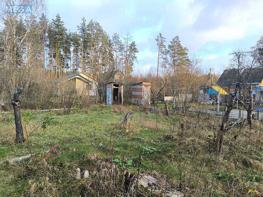 Продаж дома, 1&nbsp; поверх, 45&nbsp;кв.м, 2&nbsp;кімнати, ділянка 10&nbsp;соток, <a class="location-link" href="/nikolaevka-selo-kv-makarovskij-rajon/" title="Недвижимость Миколаївка">Миколаївка</a>, зоряна (изображение 13)