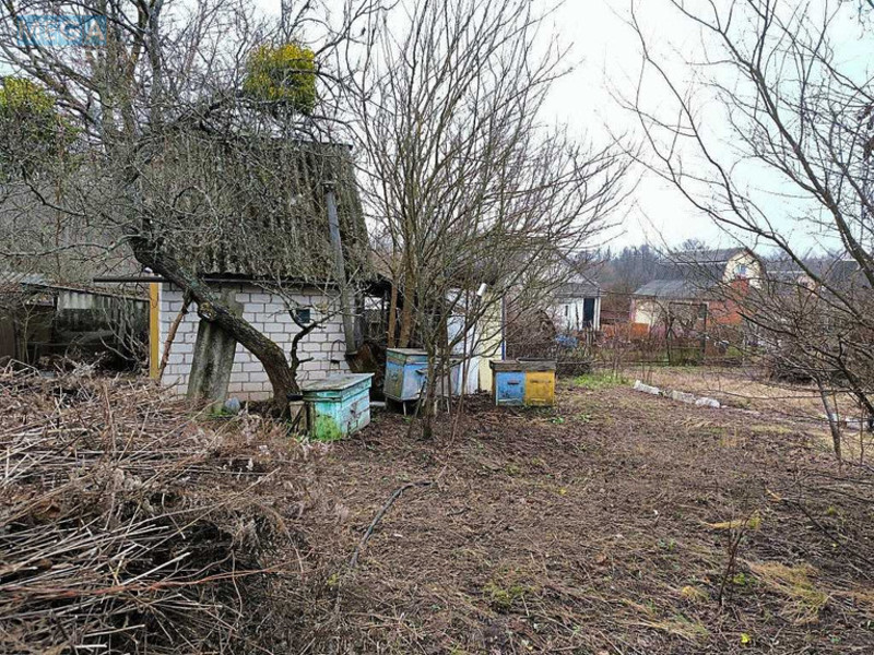 Продаж дома, 1&nbsp; поверх, 45&nbsp;кв.м, 2&nbsp;кімнати, ділянка 6&nbsp;соток, <a class="location-link" href="/novoselki-selo-kv/" title="Недвижимость Новосілки">Новосілки</a>, дачная (изображение 7)