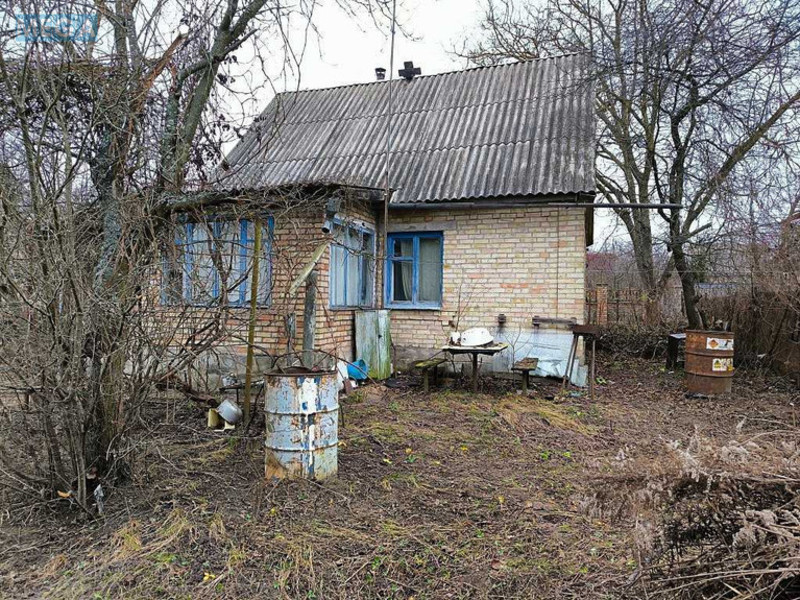 Продаж дома, 1&nbsp; поверх, 45&nbsp;кв.м, 2&nbsp;кімнати, ділянка 6&nbsp;соток, <a class="location-link" href="/novoselki-selo-kv/" title="Недвижимость Новосілки">Новосілки</a>, дачная (изображение 9)