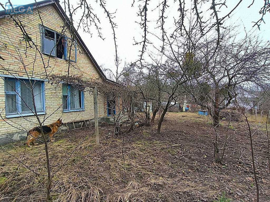 Продаж дома, 1&nbsp; поверх, 45&nbsp;кв.м, 2&nbsp;кімнати, ділянка 6&nbsp;соток, <a class="location-link" href="/novoselki-selo-kv/" title="Недвижимость Новосілки">Новосілки</a>, дачная (изображение 17)