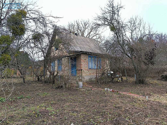 Продаж дома, 1&nbsp; поверх, 45&nbsp;кв.м, 2&nbsp;кімнати, ділянка 6&nbsp;соток, <a class="location-link" href="/novoselki-selo-kv/" title="Недвижимость Новосілки">Новосілки</a>, дачная (изображение 21)
