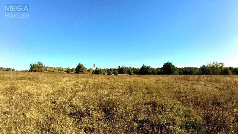 Продаж дома, 1&nbsp; поверх, 90&nbsp;кв.м, 4&nbsp;кімнати, ділянка 16&nbsp;соток, <a class="location-link" href="/zavalovka/" title="Недвижимость Завалівка">Завалівка</a>, затишна (изображение 11)