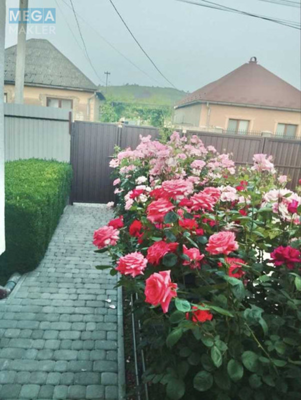 Оренда дома, <a class="location-link" href="/beregovo/" title="Недвижимость Берегове">Берегове</a>, Легоцького, 71 (изображение 7)