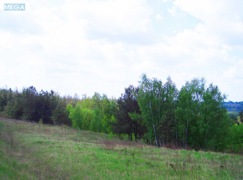 Продажа участка, 6&nbsp;соток, участок под жилую застройку, <a class="location-link" href="/vasilkov/" title="Недвижимость Васильків">Васильків</a>, улица Винниченко (изображение 3)