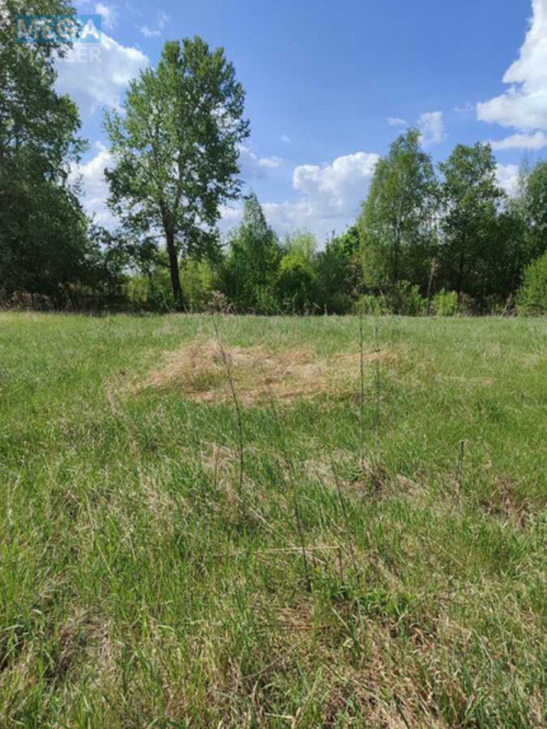 Продажа участка, 16,52&nbsp;соток, земля сельскохозяйственного назначения, <a class="location-link" href="/grebelki/" title="Недвижимость Гребельки">Гребельки</a>, нова (изображение 5)