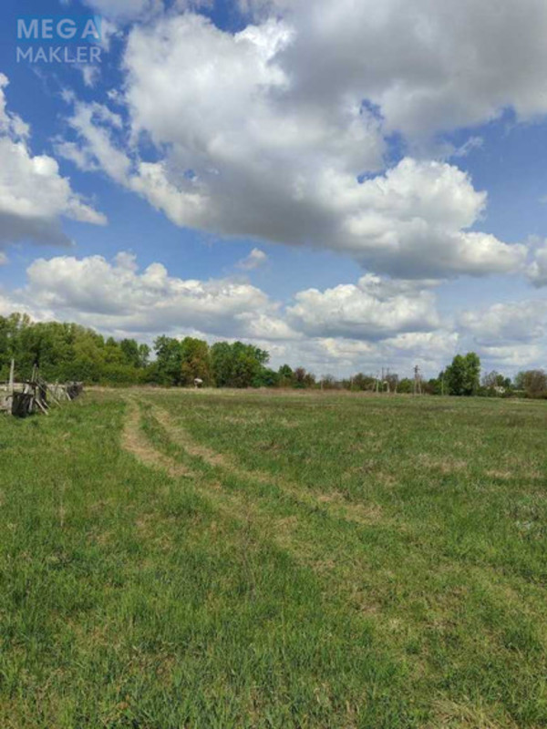 Продажа участка, 28,32&nbsp;соток, земля сельскохозяйственного назначения, <a class="location-link" href="/grebelki/" title="Недвижимость Гребельки">Гребельки</a>, нова (изображение 2)