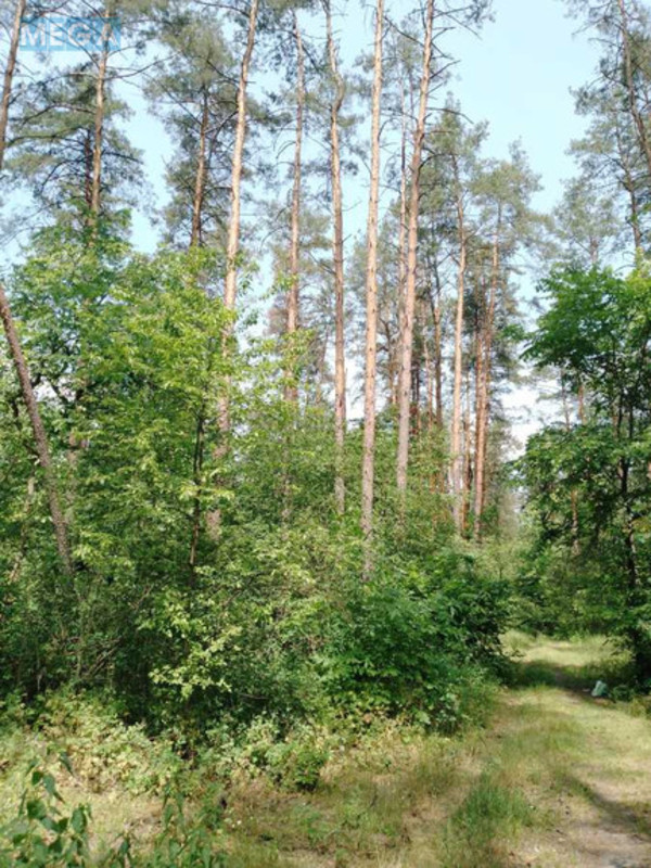 Продажа участка, 9&nbsp;соток, участок под жилую застройку, <a class="location-link" href="/kiev/" title="Недвижимость Київ">Київ</a>, <a class="location-link" href="/kiev/podolskij/" title="Недвижимость Подільський район">Подільський р-н</a>, Синеозерная ул. (изображение 4)