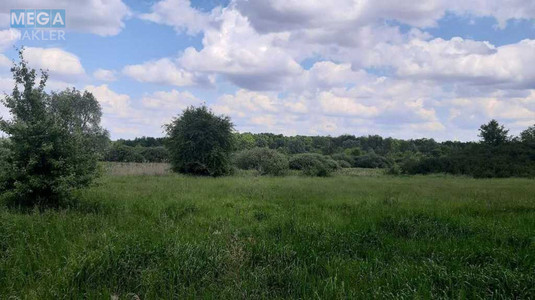 Продажа участка, 200&nbsp;соток, земля сельскохозяйственного назначения, <a class="location-link" href="/golovurov/" title="Недвижимость Головурів">Головурів</a>, Головурів (изображение 5)