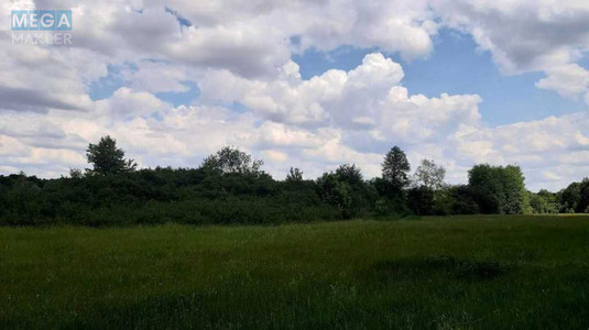 Продажа участка, 200&nbsp;соток, земля сельскохозяйственного назначения, <a class="location-link" href="/golovurov/" title="Недвижимость Головурів">Головурів</a>, Головурів (изображение 7)
